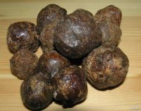 Лот: 8569018. Фото: 4. Прополис, 6гр, таблетированный... Красноярск