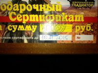 Лот: 6300503. Фото: 2. Сертификат на игру в лазертаг... Военно-спортивные игры