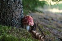 Лот: 14726887. Фото: 4. Nikon Nikkor-S Auto 1.4 Ai