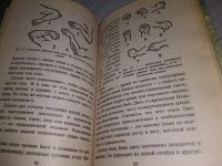 Лот: 19070062. Фото: 10. ок (01..02) История боевых искусств...