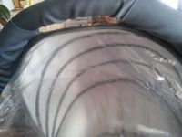 Лот: 6876261. Фото: 3. Коляска 2 в 1 Tutis Willi Way. Дети растут