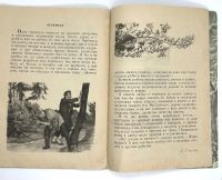 Лот: 25133532. Фото: 12. 📗 Как ходят деревья. Рассказы...