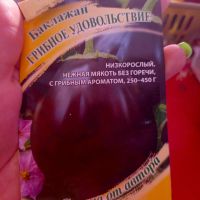 Лот: 25304449. Фото: 3. Рассада баклажан "грибное удовольствие... Для дачи, дома, огорода, бани, парка