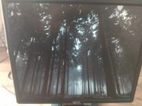 Лот: 16004749. Фото: 3. монитор Acer al1916. Компьютеры, оргтехника, канцтовары
