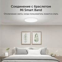 Лот: 25267488. Фото: 2. Светильник потолочный Xiaomi Mi... Освещение