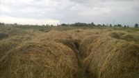 Лот: 8103902. Фото: 2. сено в рулонах. Животные и уход