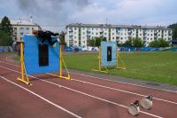 Лот: 7109246. Фото: 6. Nikon Sigma AF 17-50mm f/2.8 EX...