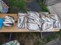 Лот: 15895910. Фото: 5. Вакуумный упаковщик , вакууматор...