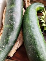 Лот: 25741711. Фото: 2. Кабачки. Продукты