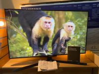 Лот: 18195074. Фото: 3. Новый Телевизор Samsung UE43TU7500U... Бытовая техника