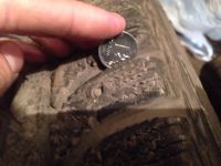 Лот: 6524662. Фото: 5. Резина Bridgestone Ice Cruiser...