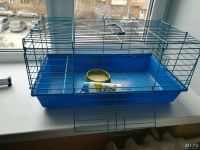 Лот: 13302027. Фото: 4. Клетка для морской свинки. Красноярск