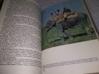 Лот: 18282859. Фото: 17. Мир книги джунглей,...Увлекательный...