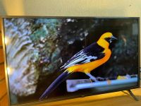Лот: 18806509. Фото: 2. Телевизор LG 43UM7300 LED, HDR... ТВ и видео