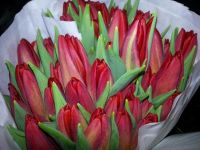 Лот: 9125086. Фото: 10. ТЮЛьПАНЫ. ОПТ, розница 8 Марта...