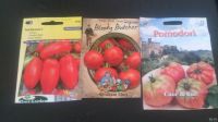 Лот: 13252017. Фото: 5. Рассада томатов, красноплодные...