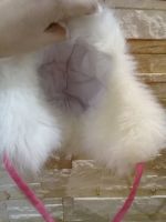 Лот: 15240570. Фото: 4. Шапка демисезонная. Красноярск