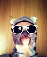 Лот: 6274165. Фото: 2. Балаклава V ARC Koala - на заказ... Обмундирование и экипировка