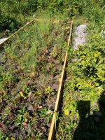 Лот: 23305273. Фото: 2. Земельный участок СНТ Акварель. Продажа