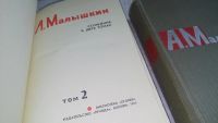 Лот: 10074410. Фото: 2. А. Малышкин. Сочинения в 2 томах... Литература, книги