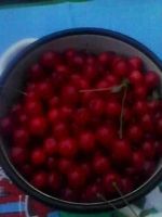 Лот: 14208079. Фото: 2. вишня. Продукты