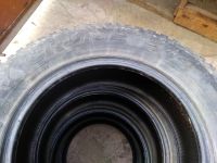 Лот: 15914032. Фото: 3. Шины летние. Авто, мото, водный транспорт