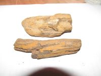 Лот: 8482804. Фото: 3. Окаменевшее дерево. Красноярск