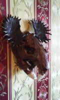 Лот: 3262514. Фото: 3. Бобролось,загадка природы.Череп... Красноярск