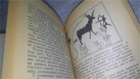 Лот: 11396446. Фото: 3. Oz (4092327) Исчезнувший мир... Литература, книги