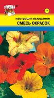 Лот: 12955204. Фото: 3. Семена настурции вьющейся, смесь... Для дачи, дома, огорода, бани, парка