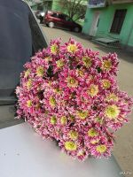 Лот: 9560072. Фото: 4. Букет из 15 хризантем