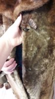 Лот: 15200008. Фото: 6. Шуба мутоновая с норковым воротником
