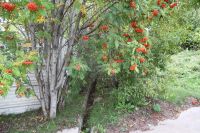Лот: 25731622. Фото: 9. участок , Красноярск 3-я Дальневосточная...