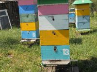 Лот: 14911912. Фото: 3. Мёд натуральный с разнотравья. Красноярск