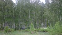 Лот: 11104574. Фото: 5. Земля д. Замятино, Емельяновского...