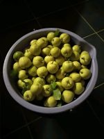 Лот: 14453866. Фото: 3. Груша на компот и джемы. Красноярск
