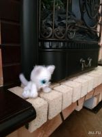 Лот: 13044811. Фото: 2. Котенок. Ручная работа