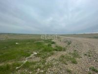 Лот: 25296453. Фото: 6. участок , СНТ Дружба СНТ Дружба...