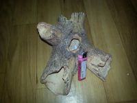 Лот: 7968306. Фото: 3. Коряга керамика. Растения и животные