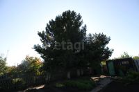 Лот: 25709360. Фото: 14. 2-комн. дача , СНТ Победа улица...