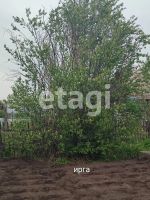 Лот: 25295226. Фото: 16. 1-комн. дача , Сосновоборск улица...