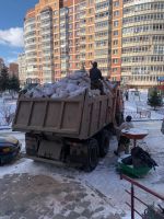 Лот: 10090079. Фото: 9. Вывоз мусора КамАЗ