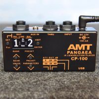 Лот: 9945596. Фото: 3. AMT Electronics CP-100 Pangaea... Музыкальные инструменты и оборудование