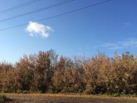 Лот: 5459923. Фото: 6. Продам землю ИЖС, центр. Вода