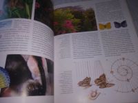 Лот: 20843133. Фото: 6. ок...(209231) Бабочки (Что Есть...