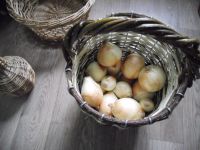 Лот: 7238081. Фото: 4. Лукошко.Корзина под грибы , лук... Красноярск