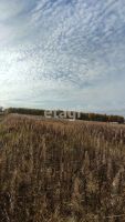 Лот: 25299317. Фото: 10. участок , дачное некоммерческое...