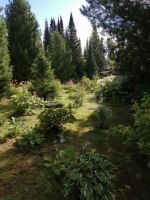 Лот: 25744079. Фото: 14. 1-комн. дача , садоводческое некоммерческое...