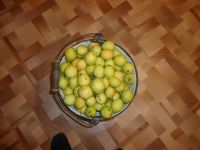 Лот: 4510191. Фото: 2. Груши ароматные, терпко-десертный... Продукты
