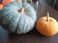 Лот: 25819915. Фото: 2. Тыквы. Продукты